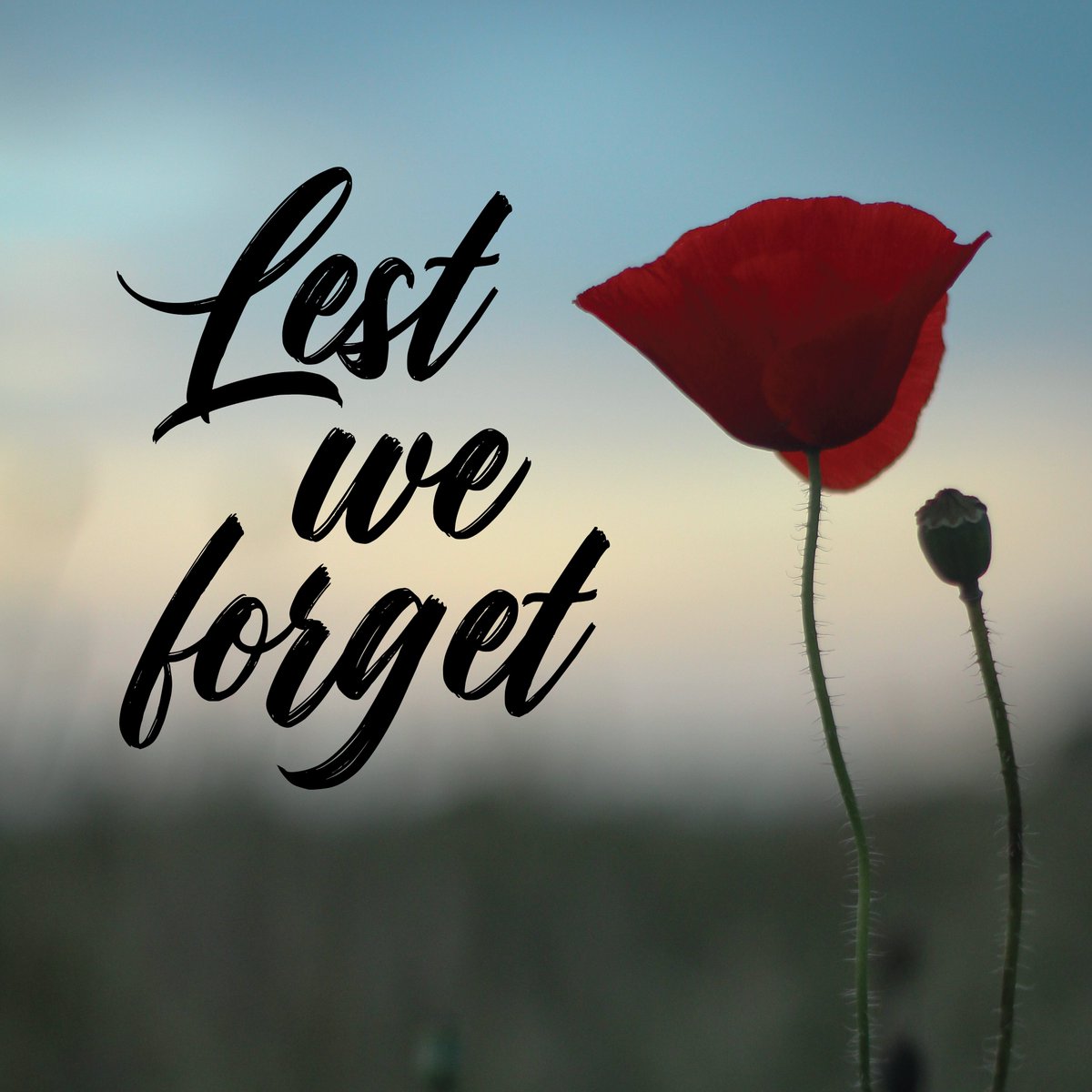 Your Community Voice (@yourvoice23) on Twitter photo 