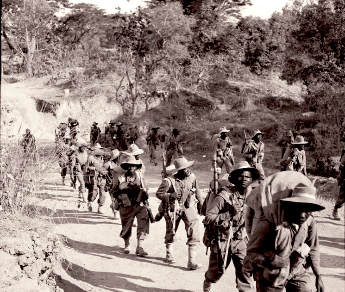 NneNne Iwuji-Eme tweet media