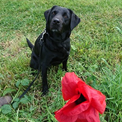 Neil Crosswell tweet media