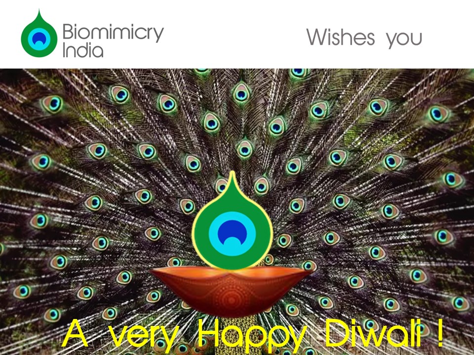 IndiDreams's tweet photo. https://t.co/gkq7YpKLQH