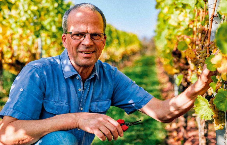 dick soek tweet media