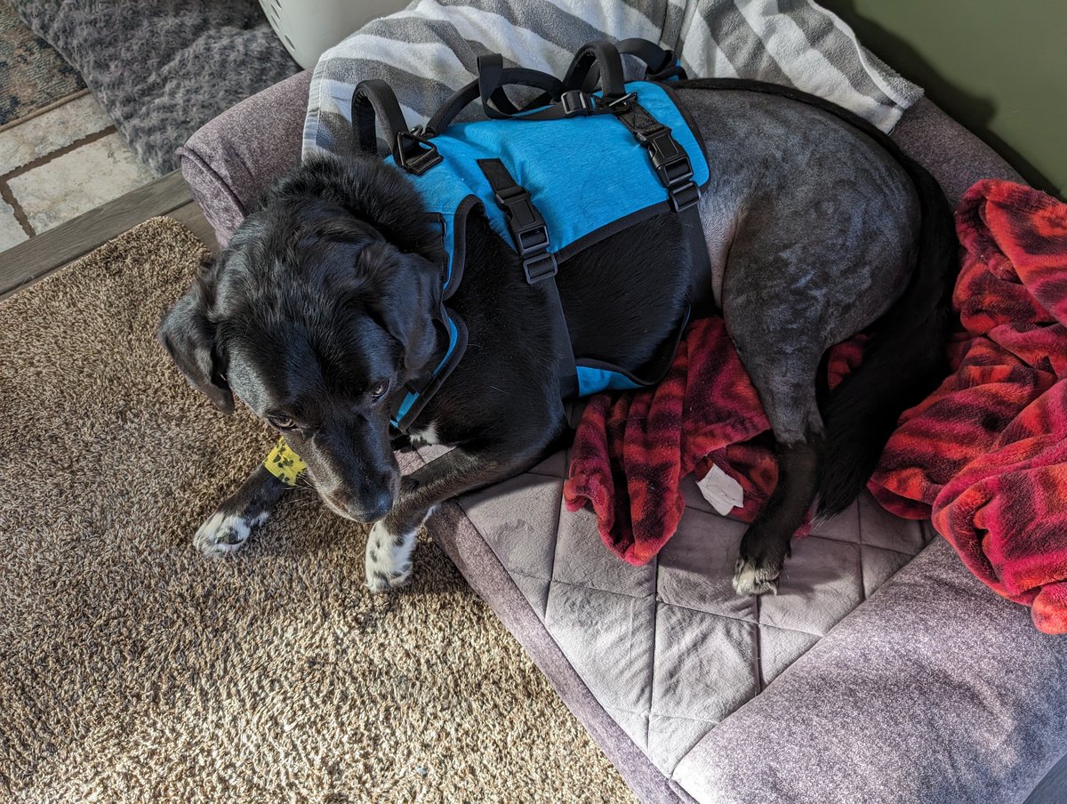 Errn 🐸🍄 tweet media