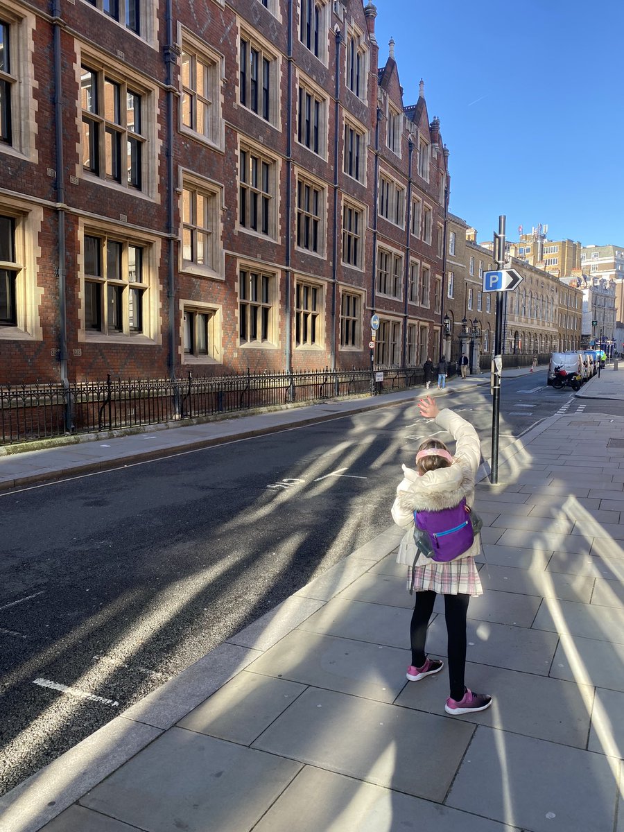 MrDormanSTEM tweet media