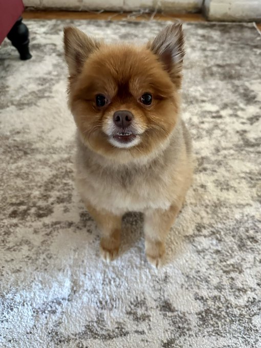 Louis Vuitton had a spa day  🎀💈 https://t.co/9uGjrNHSfY