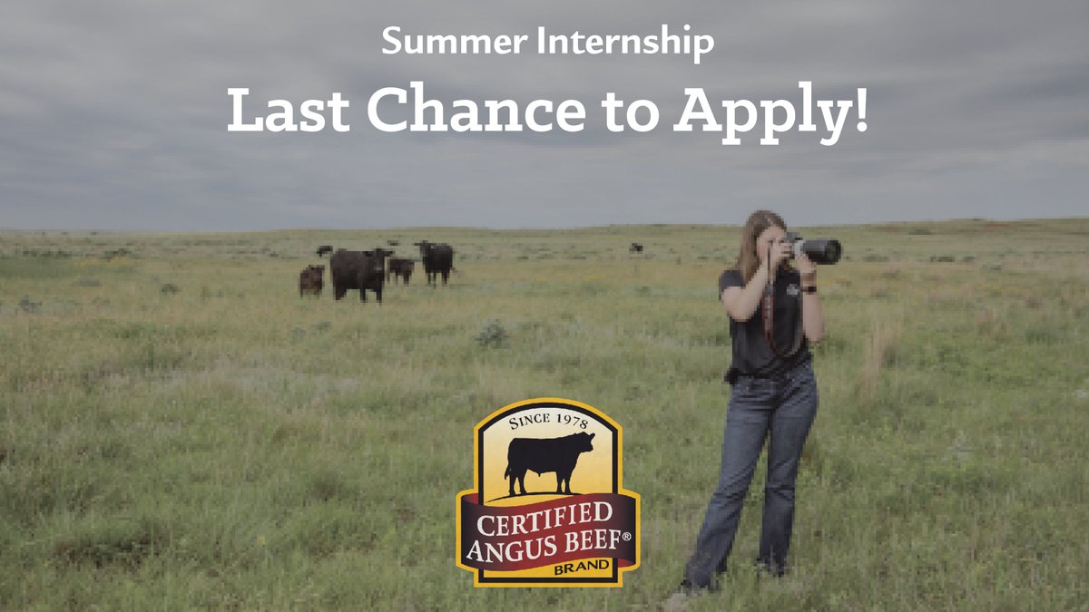 📢Last Call to apply for a communications/marketing internship that promises growth, learning, and a chance to make a difference. Certified Angus Beef is offering four 2024 summer internships. The application closes EOD Sun, Nov 12.

Apply here: certifiedangusbeef.com/recruiting/