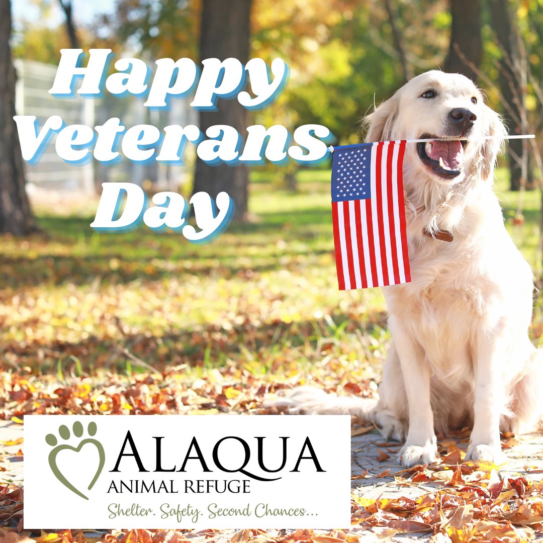 We extend our deepest gratitude and heartfelt thanks to the brave men and women who have served and continue to serve our great nation. Your sacrifice, dedication, and unwavering commitment to protecting our freedoms inspire us every day.  

#AlaquaAnimalRefuge #VeteransDay