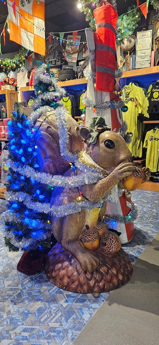 Alexandra__M's tweet photo. Fantasic Earl the Squirrel store at MCO by Universal! 🎄🎁🐿 #universalstudios #universalflorida #earlthesquirrel https://t.co/qJqbgnoLoA