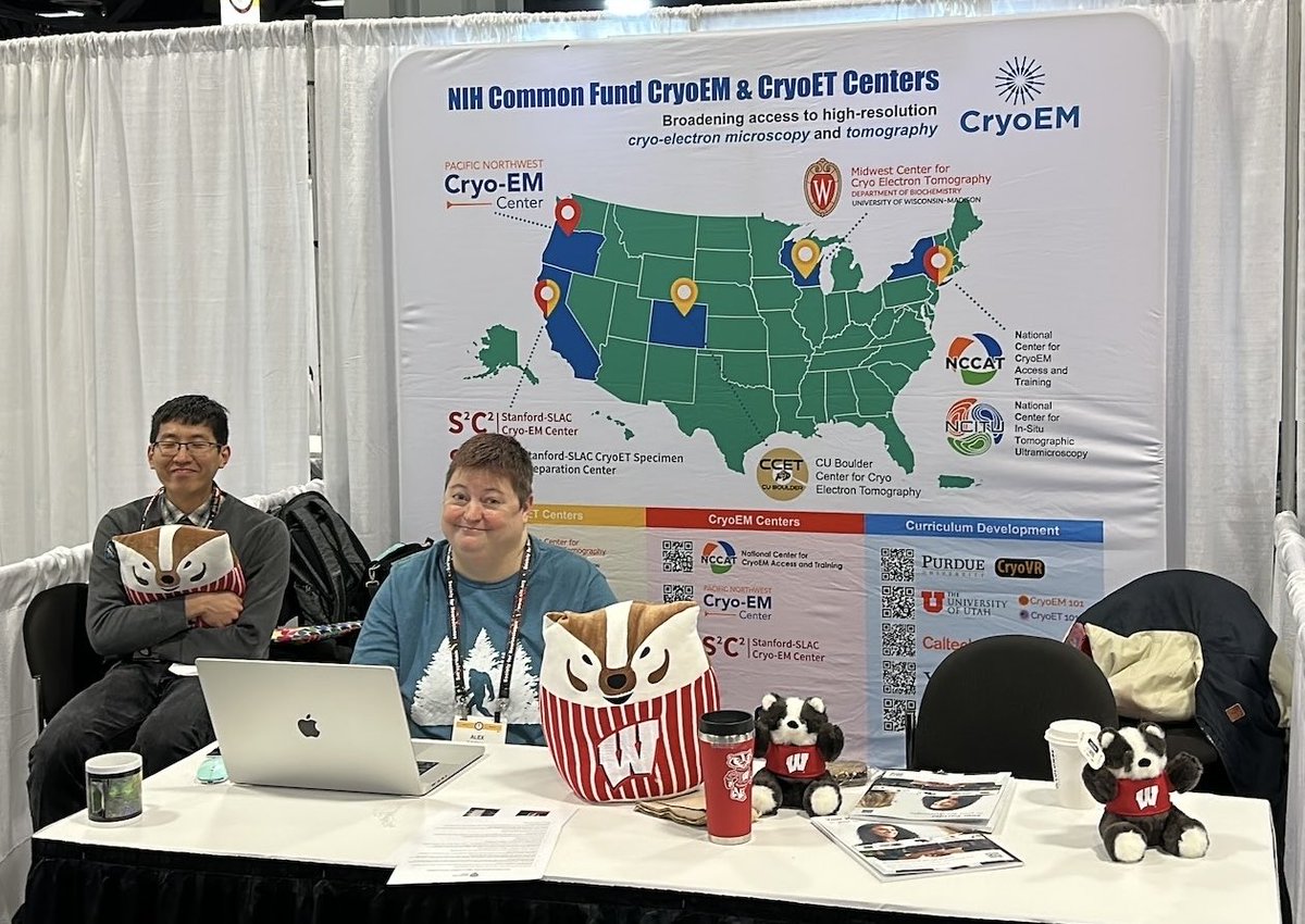 🎉🧠 Heading to ⁦@SfNtweets⁩ #SfN2023 #SfN23 & want to learn more about ⁦@NIH_CommonFund⁩ #cryoEM and #cryoET centers and #neuroscience? Stop by booth 3111! Raffle prizes available including ⁦@UWBuckyBadger⁩ plushies! 🧠🪰🐁🧫❄️🔬🦡