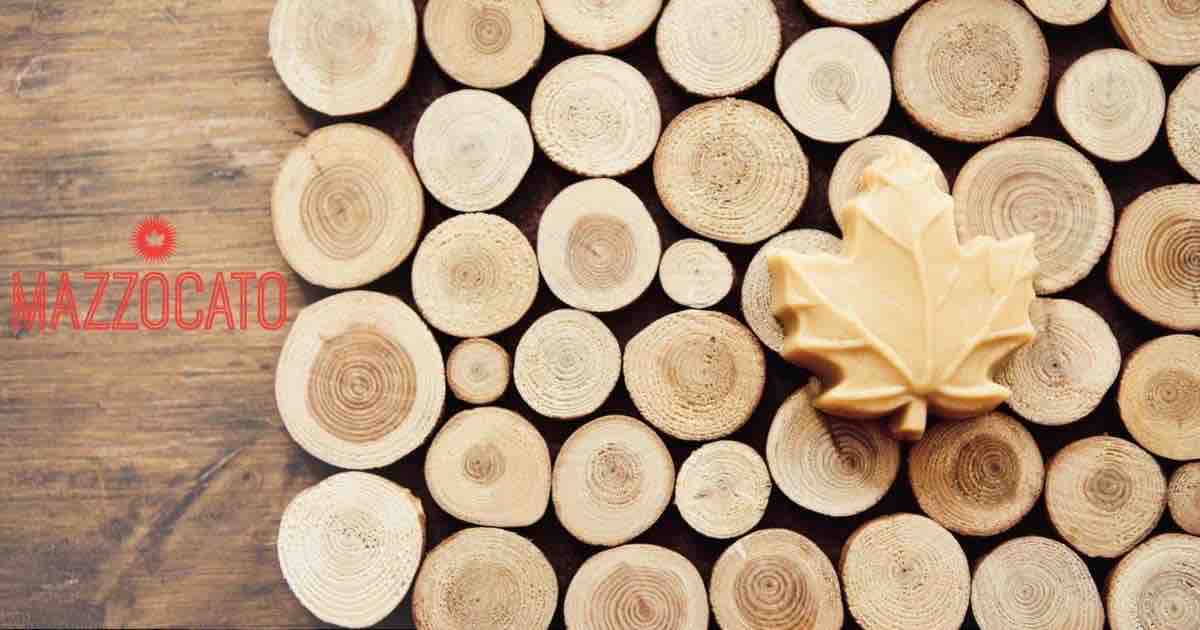 Mazzocato Maple Farm tweet media