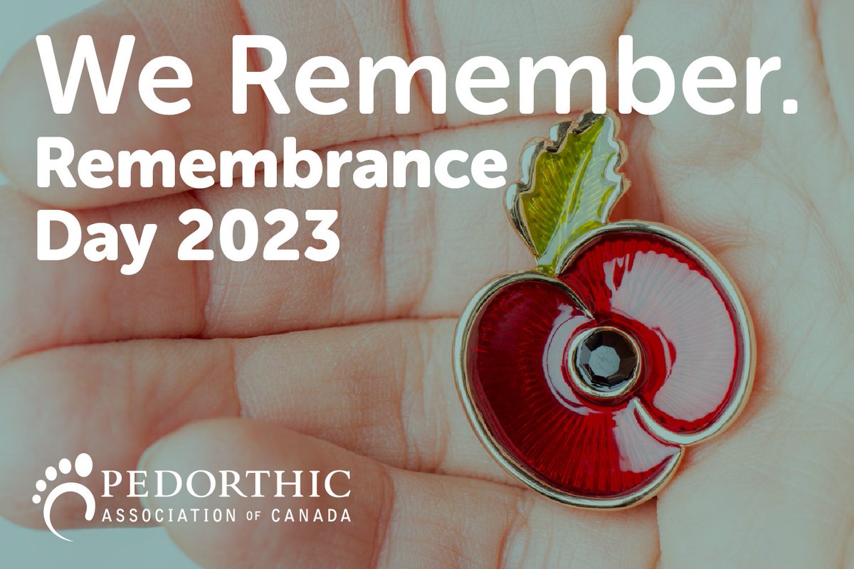 🕊️ Remembering the past, appreciating the present, and hoping for a peaceful future. Let us remember and honour our veterans today. 🙏 #RemembranceDay #NeverForget
