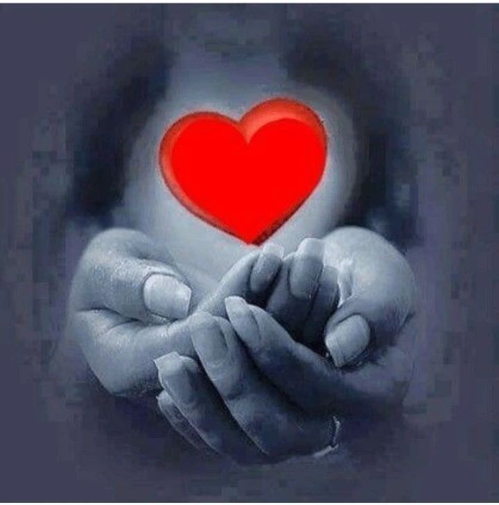 gedik_berfin's tweet photo. #Kimsenin kalbine dokunmayın…
#Ordan yaralıyorlar insanı…
𝓐𝔂𝓯𝓮𝓻 𝓴𝓾𝓵𝓮𝓹
Mutlu akşamlar dostlar.. https://t.co/zeXSMU435d