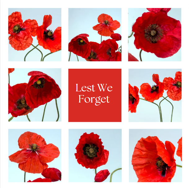 Today, we remember those who have served. Lest We Forget.
