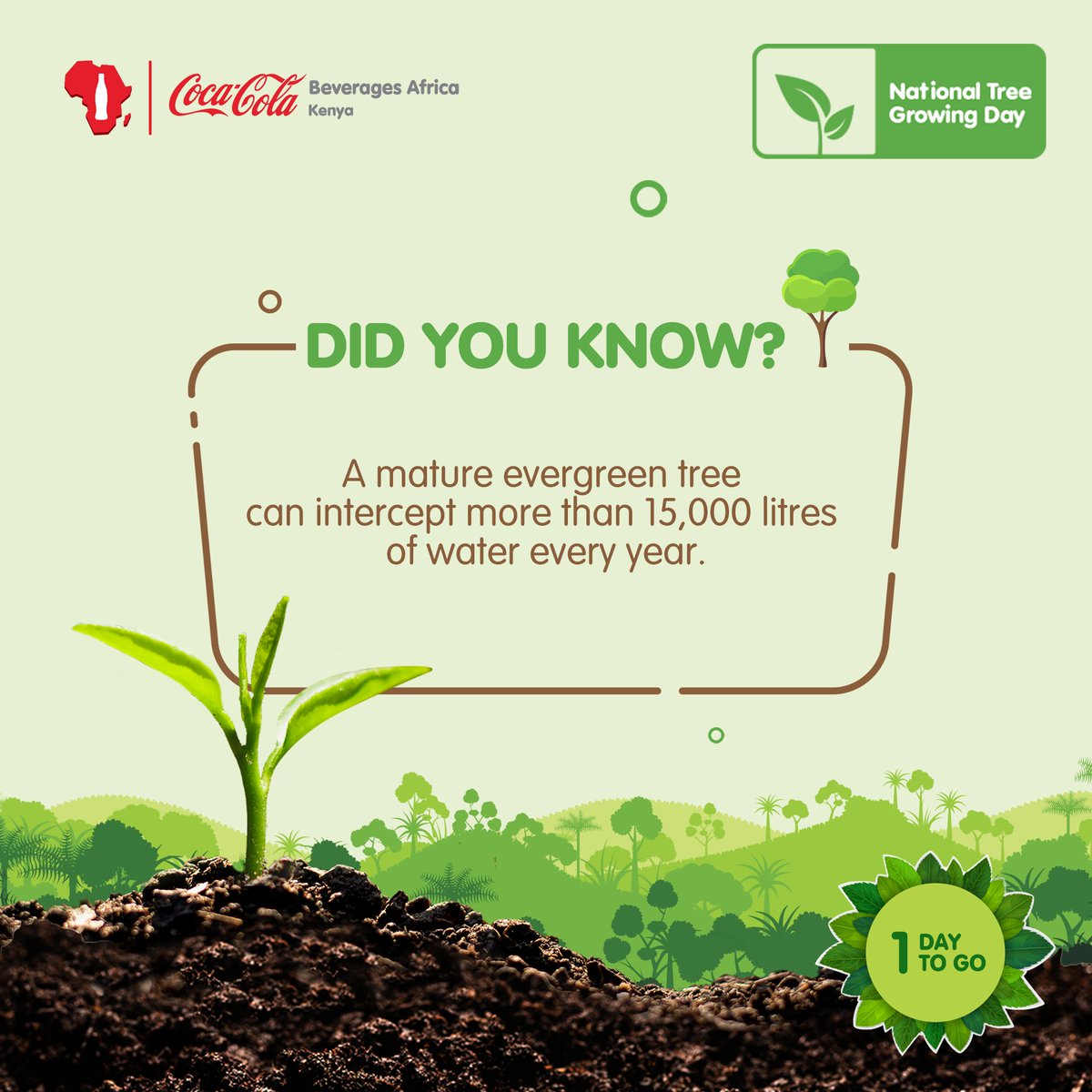 At CCBA,we advocate for tree planting initiatives that help replenish water supplies and protect the environment. Join us in our mission to plant more trees and make a positive impact on our planet. #CCBA #TreePlanting #WaterStewardship #RefreshAfrica
 #Sustainability