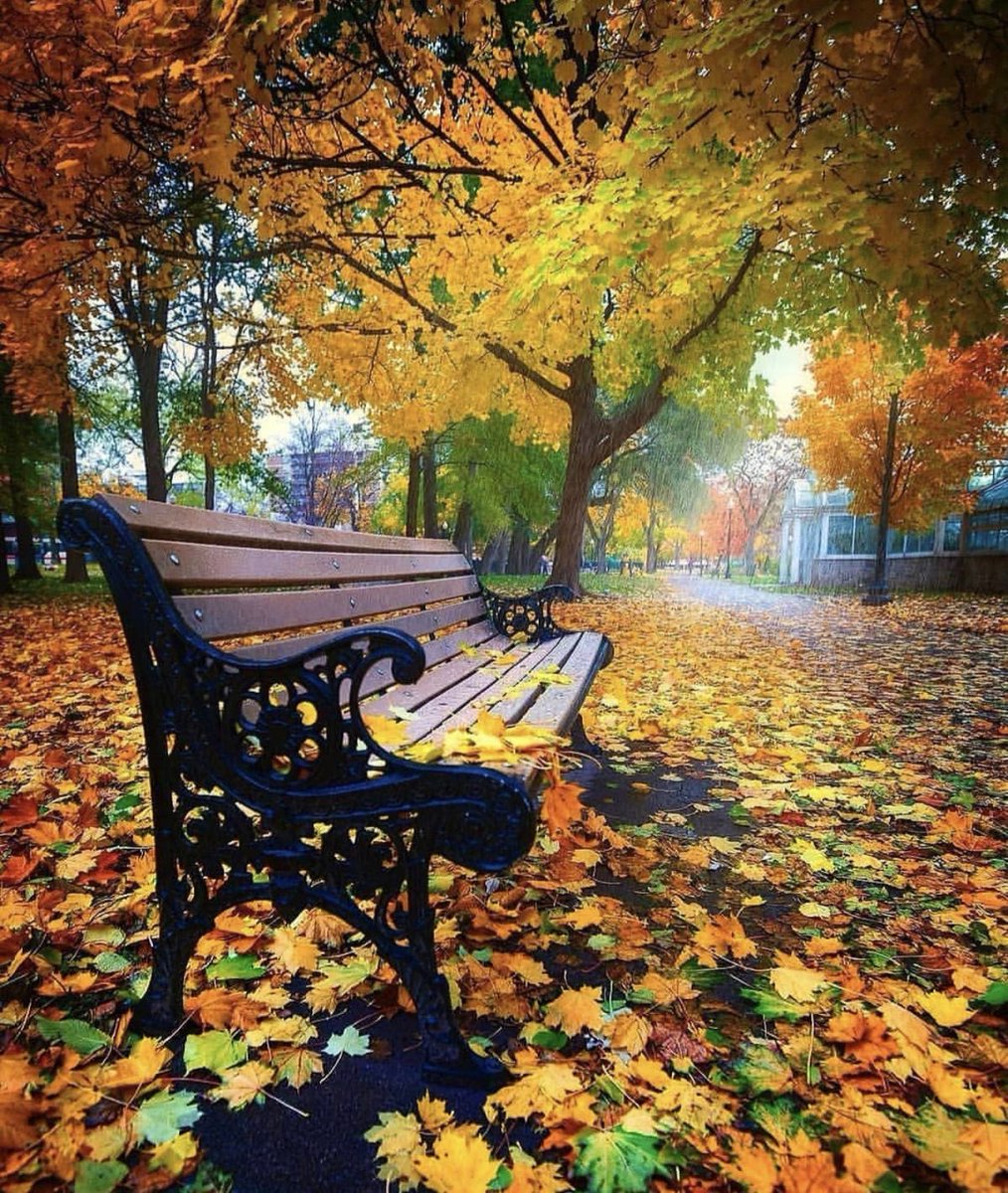 h e l e n a ☃️🌸🍁 tweet media