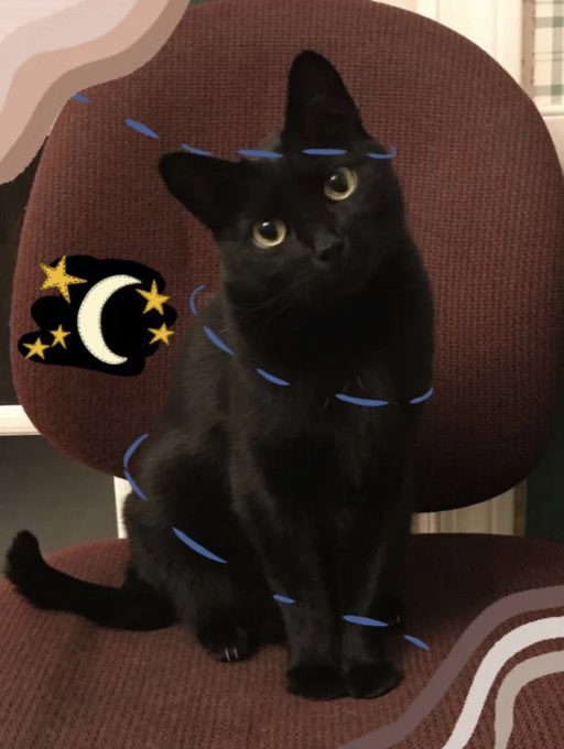 twaniimals's tweet photo. https://t.co/sgAghVVpXz