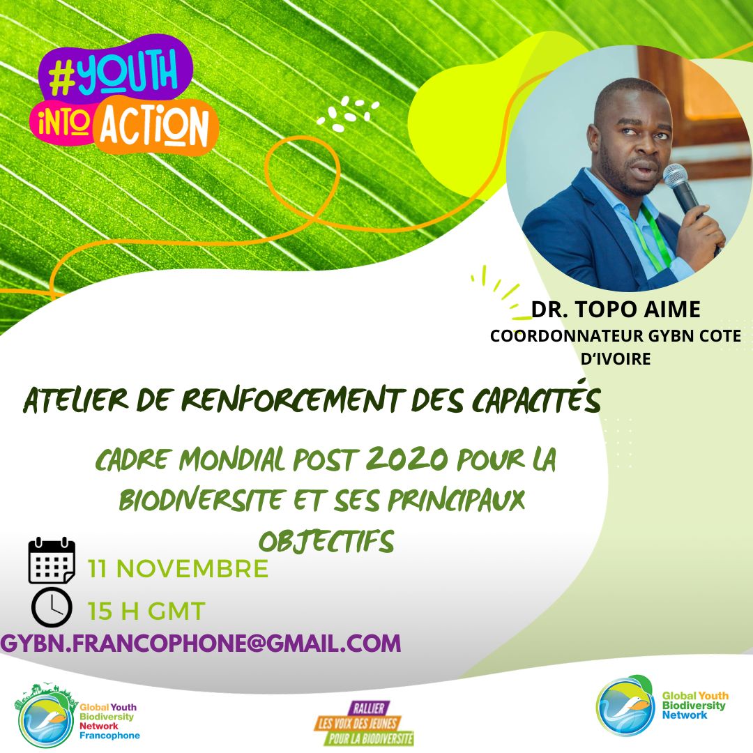 Dr Topo Aimé tweet media
