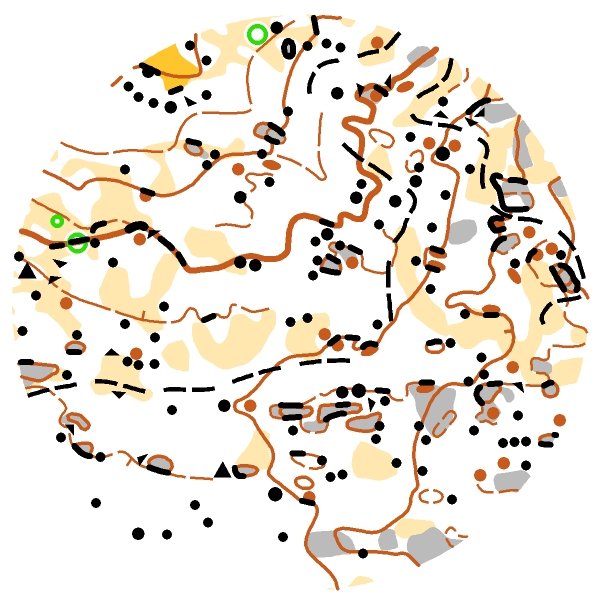 Maximus Winter O-Camp ◪ tweet media