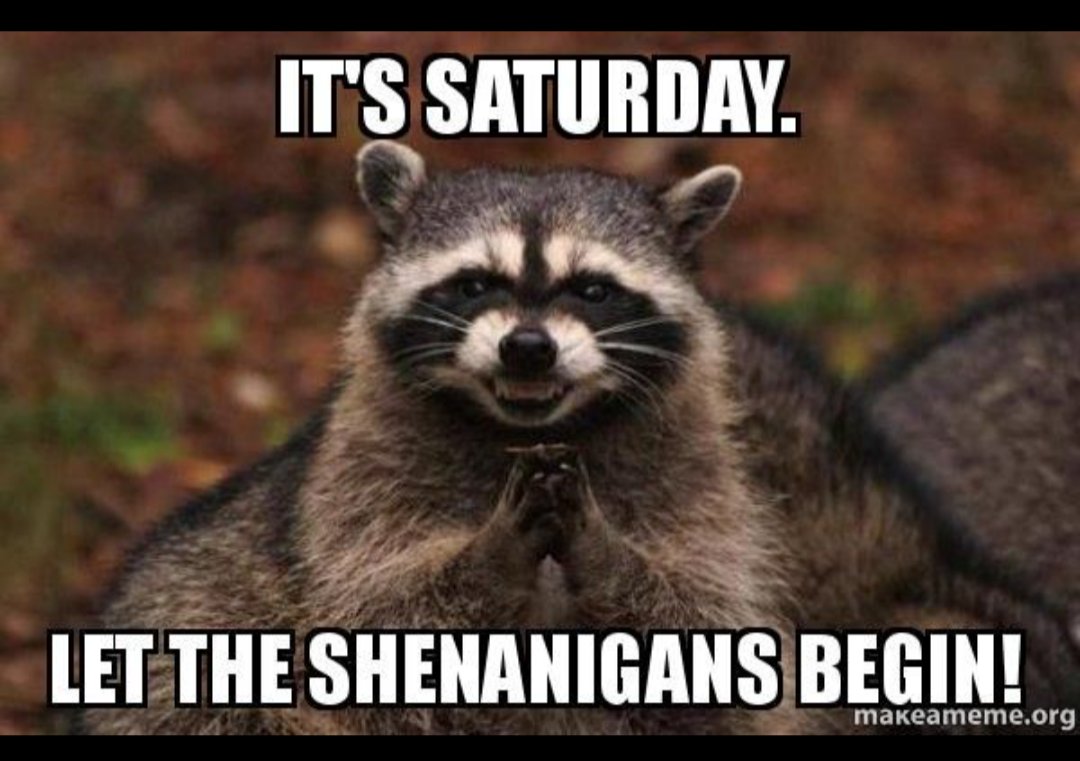MissygGallant's tweet photo. Happy Saturday! How about a #bookboost #writerslift #ShamelessSelfPromo
#readers find #greatbooks here !
#authors post #bookcovers #newrease #books #blog #wip https://t.co/rgHyhVGG7b