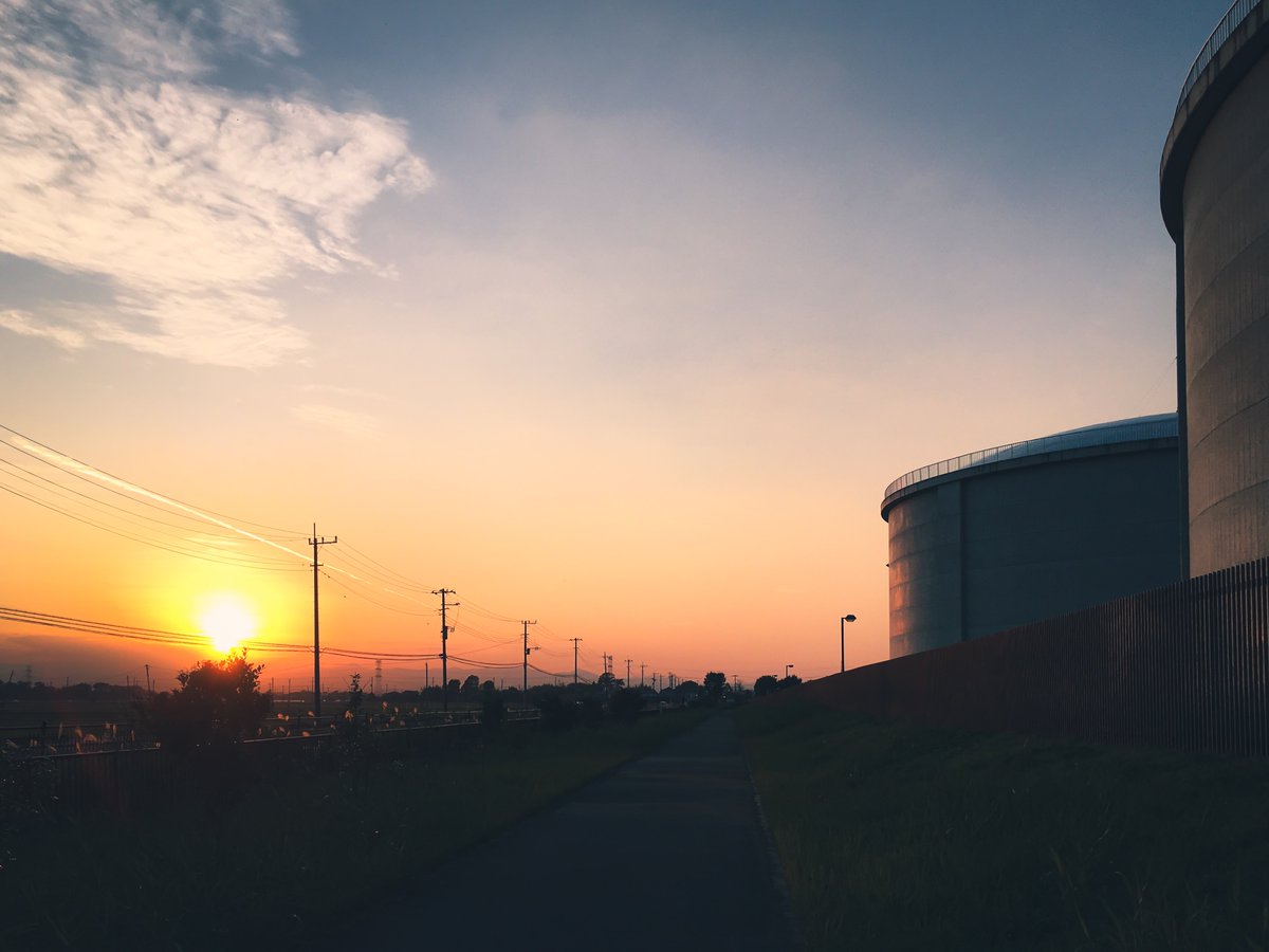 Eye_drops_flow's tweet image. 散歩最高😆