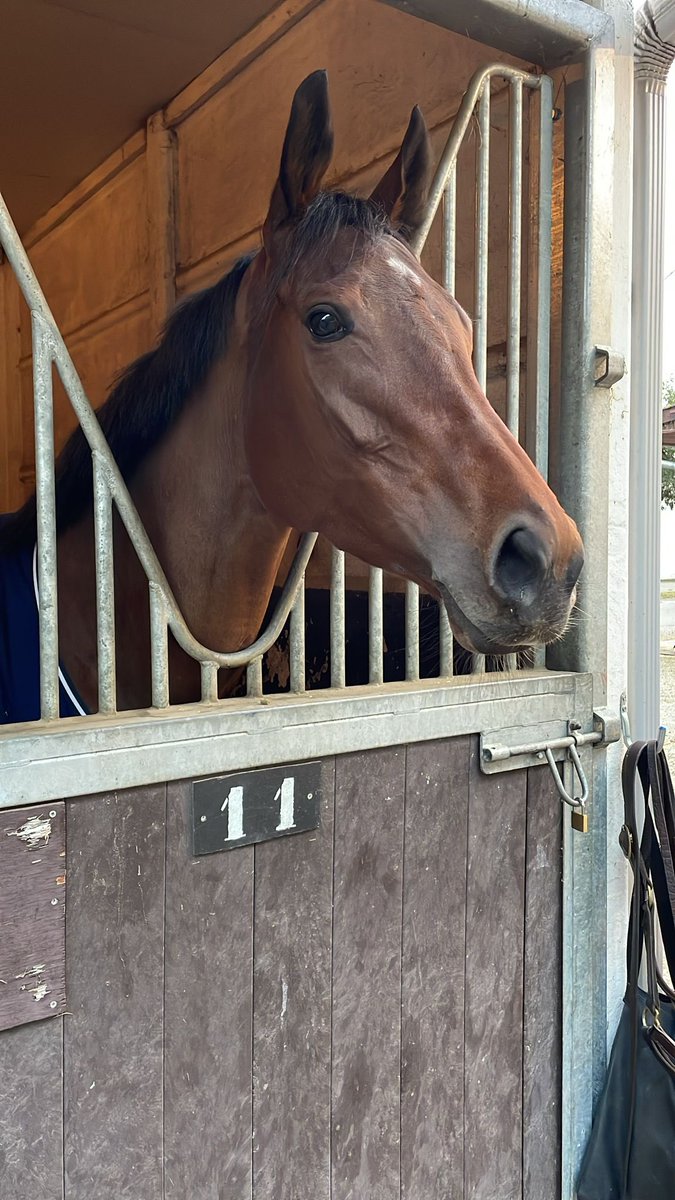 🐴 Yorokobi sera au départ du Prix Fille de l’Air cet après-midi 🏁 Départ prévu pour 16h25 📍 La Cepiere - 2100m ℹ️ pmu.fr/turf/r1/c5/ #ÉcurieGriezmann