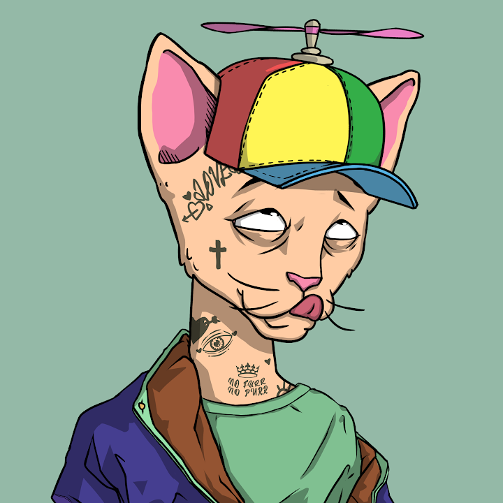 Carolina Sebetti tweet media