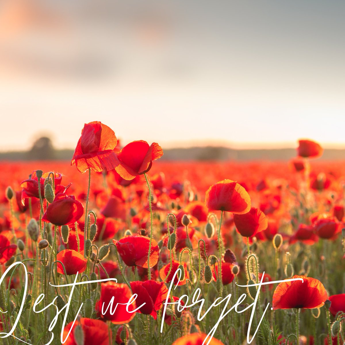 We will always remember. #RemembranceDay