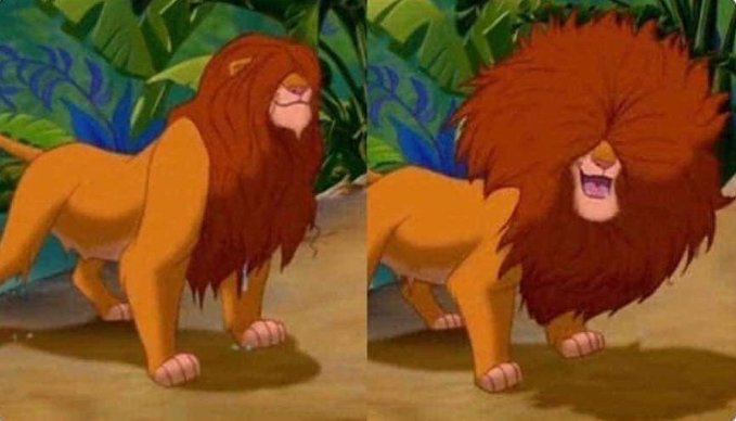 cuando me lavo el pelo:      |     cuando se seca: