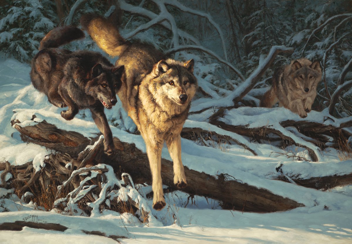 Out Of The Blue - 2010 - oil on linen