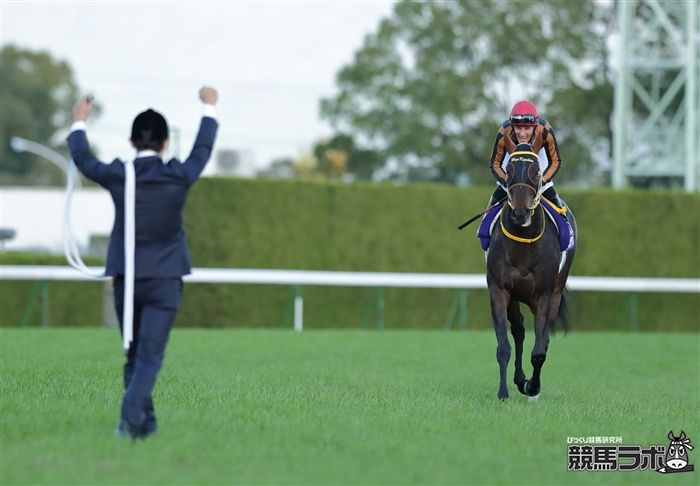 keibalab's tweet photo. 【やったねカッチャン】
2017年11月12日、エリザベス女王杯。勝ったのはモズカッチャン。3度目のG1挑戦で初のビッグタイトルを手にしてから、今日で6年。
#モズカッチャン #エリザベス女王杯 
https://t.co/uZeGwzhqgm https://t.co/PHsRH9Pbra