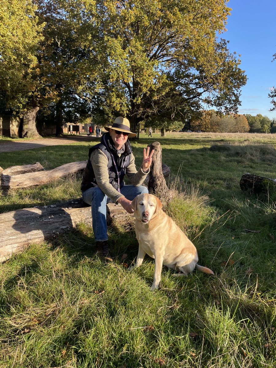 @MileforLyle Just the three (one for each PL goal so far) Happy to walk the other thirty to match the goals you’ll bang-in when you’re back Lyle 🤞