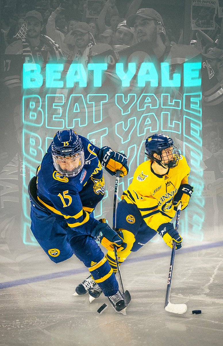 c_levasseurr's tweet photo. For the fourth time this year — Happy Beat Yale Day to those who celebrate. 

Unique Heroes Hat game today, Bobcats wearing camo for Veteran’s Day. Make sure to pick up your @QUChronicle Beat Yale posters, designed by @peytonmck, on the concourse pregame! https://t.co/pg5efT4MMo