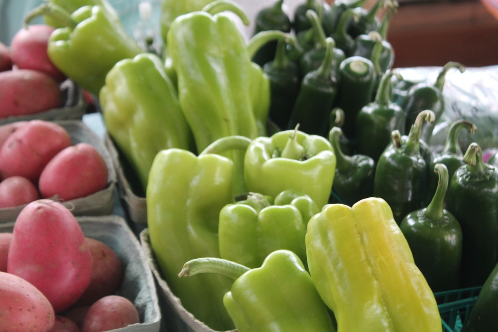 Fresh, in season produce is here! Shop Farmers Row early so you get the best picks!

From Avocados to Mushrooms and Peppers, you can find it all at RAM every Saturday, 10am to 3pm ☀️