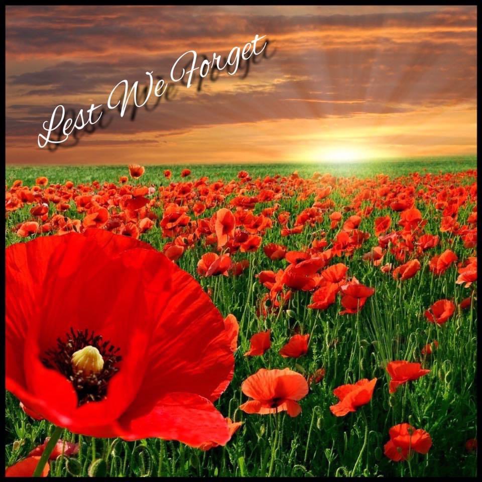 FHHSC's tweet image. To all of the brave service men &amp;amp; women who have dedicate their lives to serving this country, we want you to know how thankful we are for everything you have done &amp;amp; continue to do each day.  For all those who have made the ultimate sacrifice, Thank you, we will remember you.