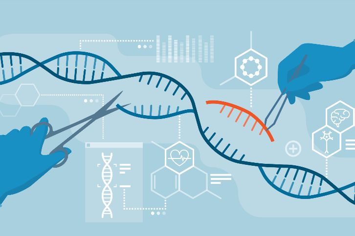 🧬 A recent breakthrough in gene editing technology could revolutionize medical treatments. CRISPR-Cas9 allows for precise, targeted modifications to DNA, opening new possibilities for curing genetic diseases. #GenomeEditing #CRISPR #MedicalAdvances