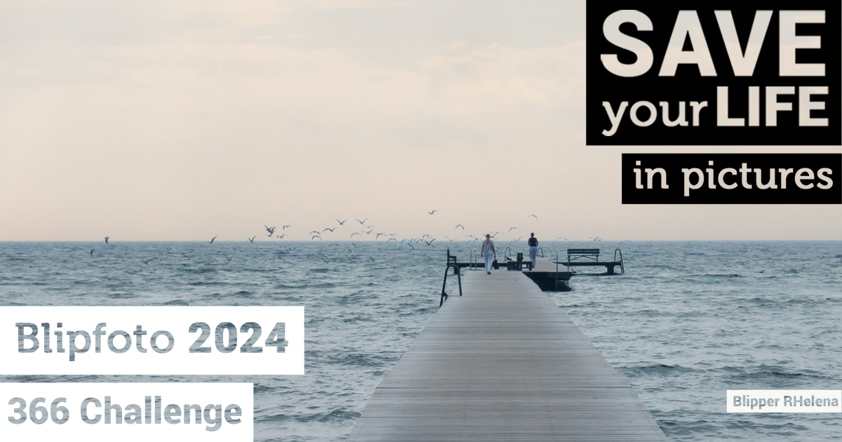 Blipfoto tweet media