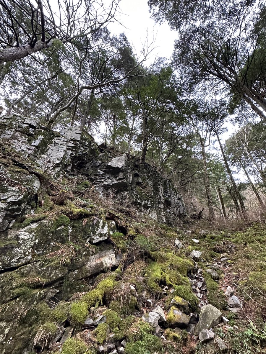 本日もお疲れ様でした！
運動不足がもたらす負の効果

体力・筋力の低下
肥満
動脈硬化性疾患
膝や腰の痛み
便秘
骨粗しょう症
癌
うつ病

これらを防ぐ為にWHOは毎週150分以上の緩い有酸素運動か毎週75分以上の有酸素運動を推奨している。
#企業公式がお疲れさまを言い合う
#企業公式秋のフォロー祭り