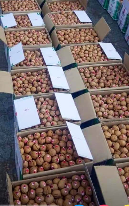 CEEOIndia's tweet image. The finest #wallnuts from Kashmir valley , produced by #FPOS, formed, trained &amp;amp; linked by CEEOIndia for sustainable income , creation of livelihood, with the support of Hon’ble @PMOIndia , livelihood with dignity.  Orders are being delivered across the country. @naqvimukhtar