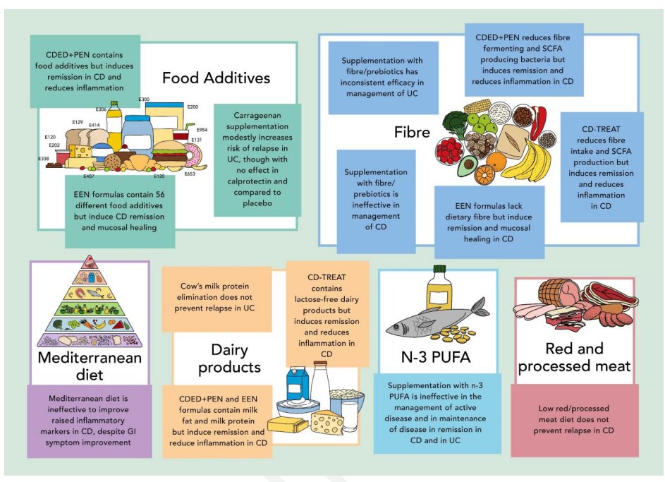 👌 Check out our new review on #IBD #ulcerativecolitis #crohnsdisease #diet #nutrition <a href="/KargerPublisher/">Karger Publishers</a>
 karger.com/anm/article/do…

Special thanks <a href="/CMF_UK/">Catherine McEwan Foundation</a>
&amp; Jen Rose for designing a great graph to summarize key messages

<a href="/BINGO_Group/">The BINGO Group</a> <a href="/KGerasimidis/">Kostas Gerasimidis</a> <a href="/kgikas10/">Konstantinos Gkikas</a> <a href="/PaedsRH/">Richard Hansen</a> <a href="/UofGMedicine/">UofG Medicine</a>