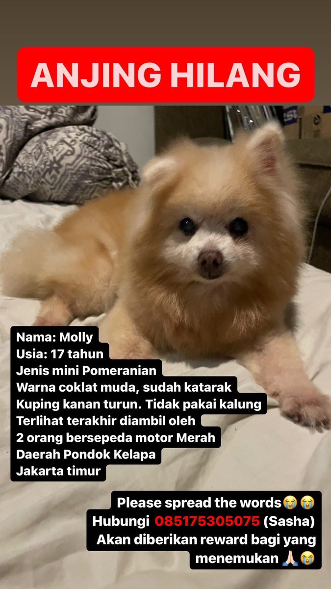 happy house tweet media