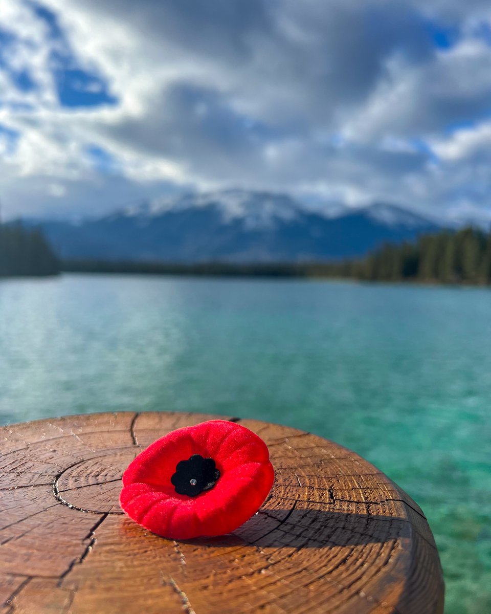 Let us take time to remember and thank all who served and continue to serve. #lestweforget #remembranceday
