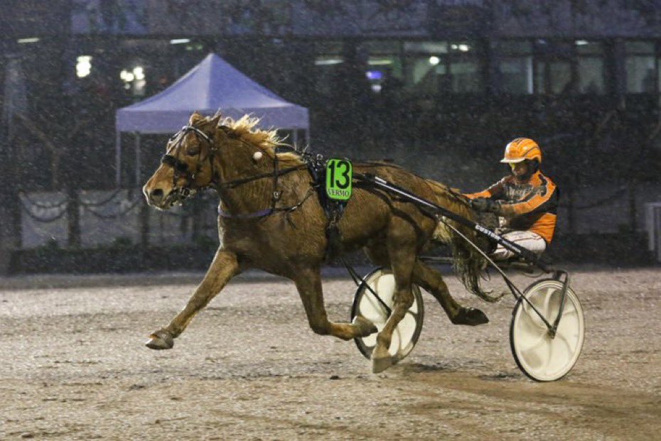 Siporin kanssa voitettiin ja pärjättiin. Tänään Siporin poika Viisori finaalin voittoon ja tuntuu ihan pirun hyvältä koko meidän porukan puolesta. Taitaa olla yksi meidän suurimmista voitoista. Mäkelän talliin kovat sijoitukset kotiradalla. Hienoa työtä tekevät Mika ja Mirka!