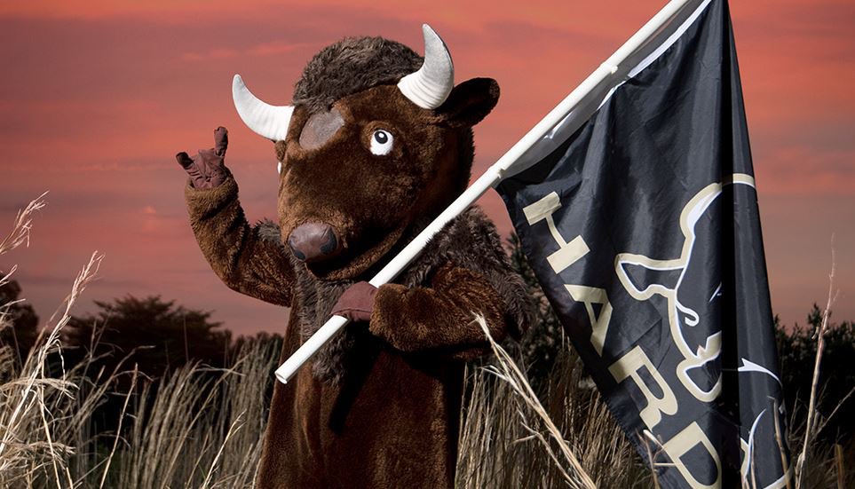 Wtf is this shit😭 <a href="/HardingSports/">Harding Sports</a> <a href="/Harding_FB/">Harding Football</a>