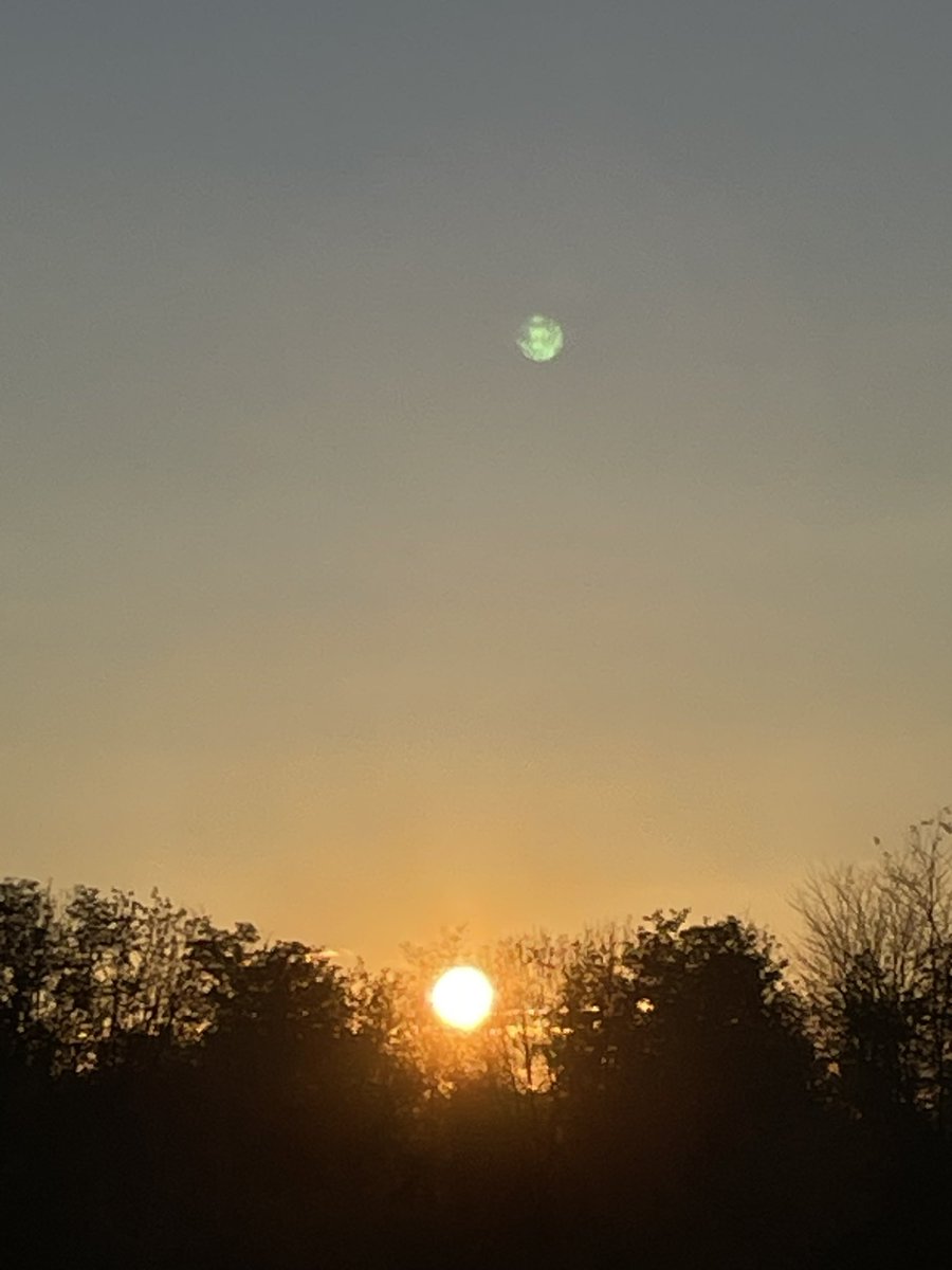mariacr28250504's tweet photo. Scatti di tramonto #colliorientali …. #buonaserata https://t.co/Eaex5LF0JW