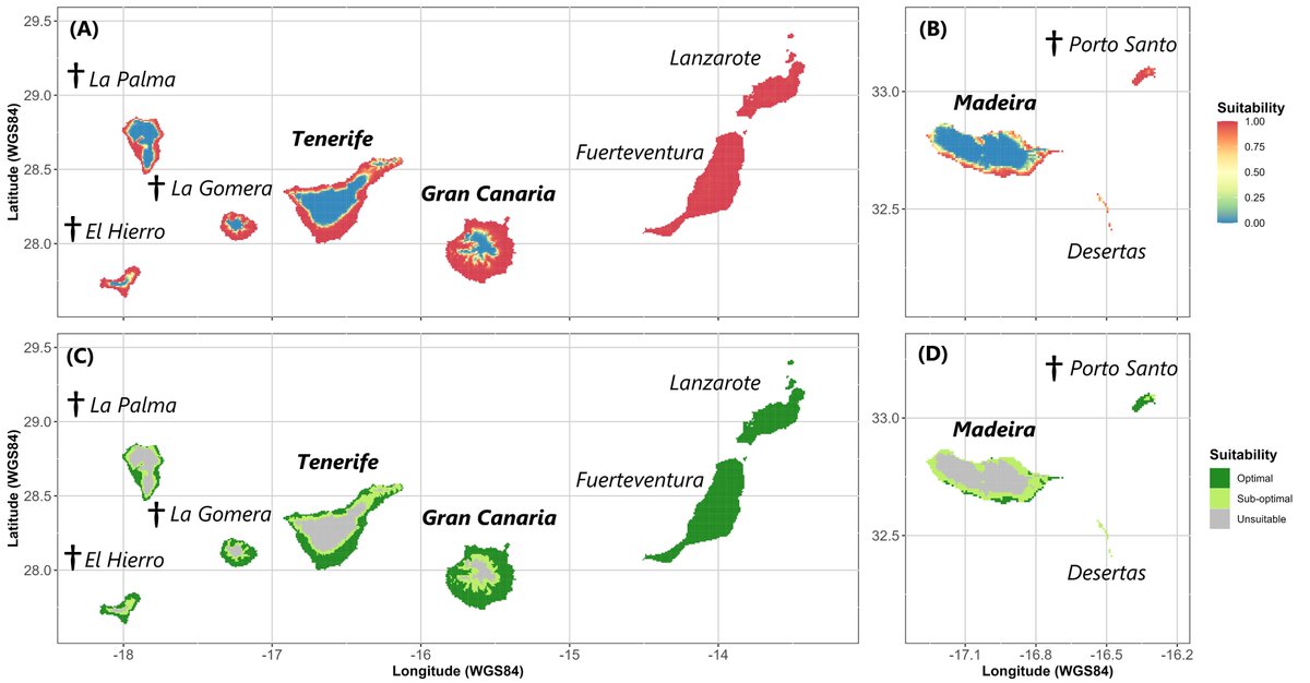 Germination niche of the endangered relict tree Dracaena draco: published in Flora 😀🌳 doi.org/10.1016/j.flor… @imbe_marseille @ArneSaatkamp @AgatheLeriche