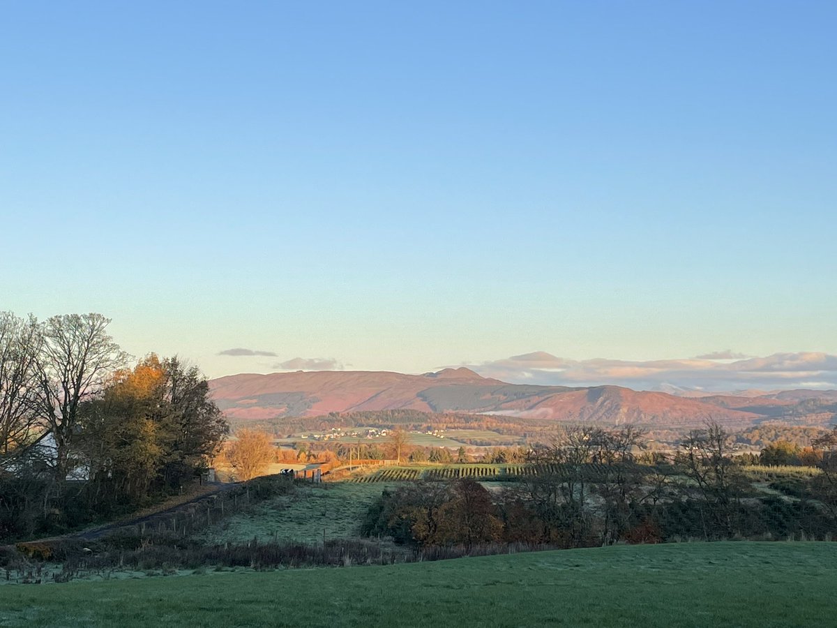 A gloriously crisp autumn morning is a thing of joy…..just be glad you don’t get the full sensory experience of this view today, it was decidedly ripe with the smell of ‘cow’!🥴