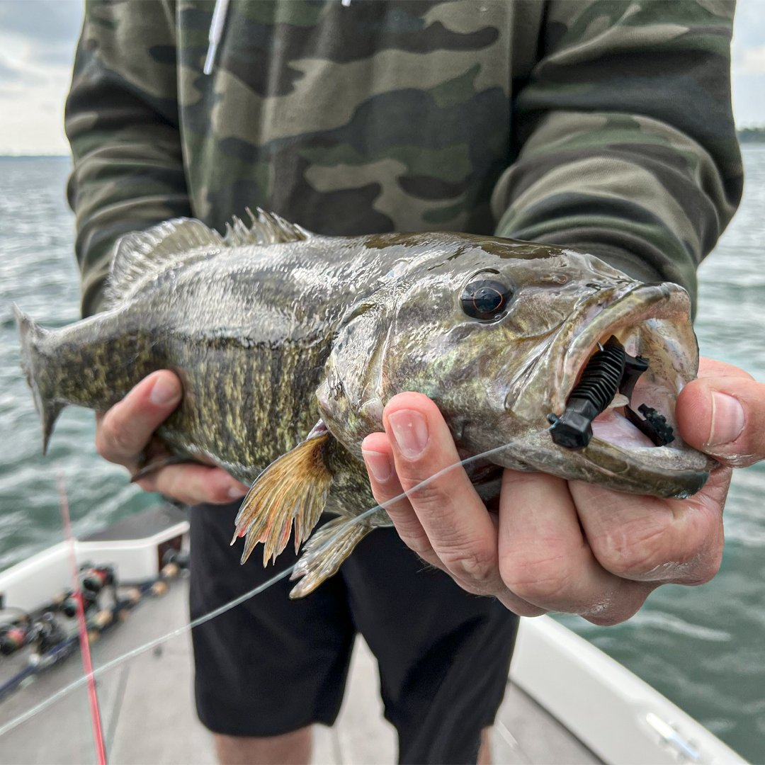 The HIVE Finesse Hexa Grub paired with the HIVE Ned Jig Head – a lethal duo that every angler needs in their tackle box.

#HIVE #HexaGrub #NedRig