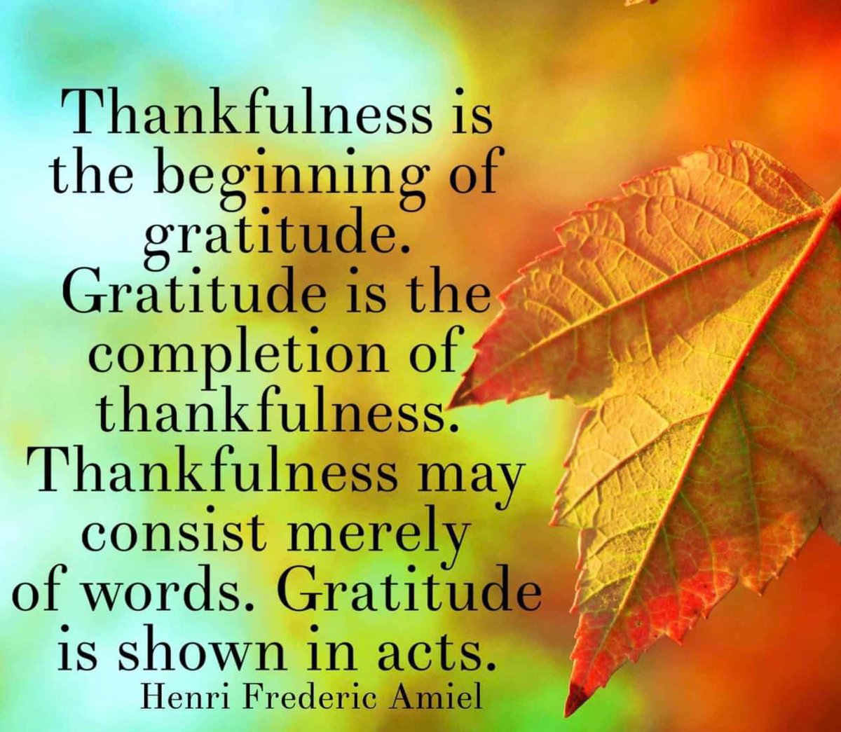 Douglas Wood wrote: We're not thankful because we're happy; we are happy because we're thankful. I love this image because it asks us to go a little deeper than that, to not just feel it but to SHOW our gratitude. Let's make #gratitude a verb and see what happens. #leadlap