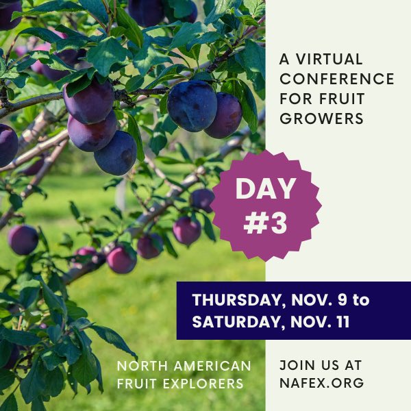 explorefruits's tweet photo. LAST DAY!  We have two more sessions today:

9 AM PST / NOON EST - NAFEX 2023 Annual Meeting / Member Show &amp; Tell
 
11 AM PST / 2 PM EST - Keynote: Healthy Fruit from Healthy Soil: Understanding the Soil Food Web - Dr. Elaine Ingham. More at 
https://t.co/Bk42J07Hdk https://t.co/jpvq6e9ASP