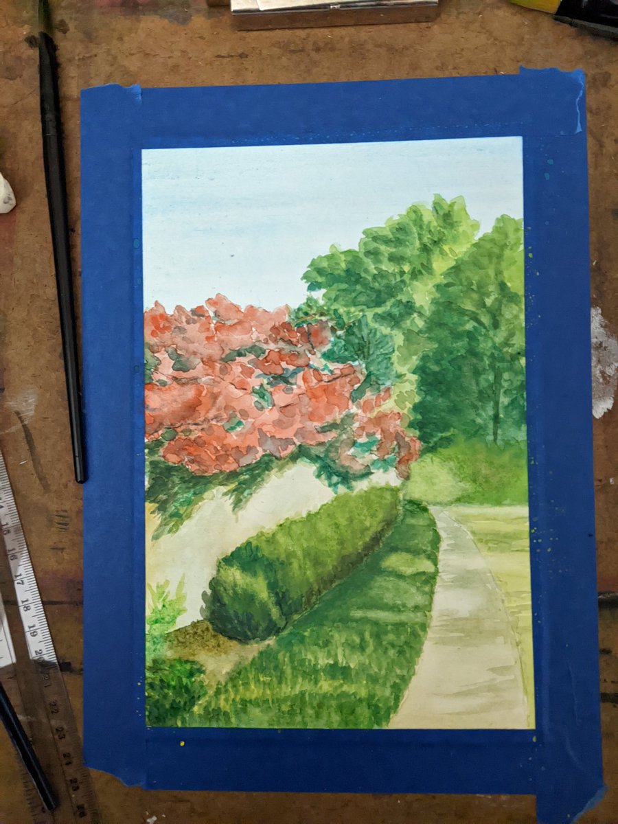 Work in progress - bougainvillea, bright sunlight, grassy path #watercolorpainting