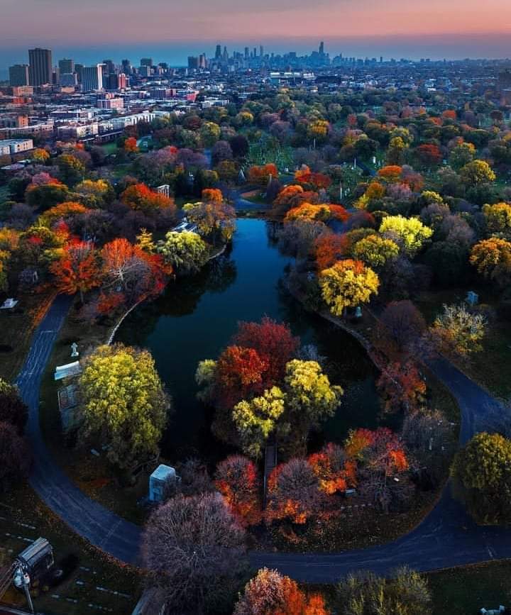 Chicago's Skyline way off in the distance. 🌳🌵

📸 (i.adi)

#chicago #chicagophotographer #likechicago #beautifuldestinations #instachicago #chicagoexplore